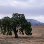 我尝一下可以吗全文 bu1x6u11