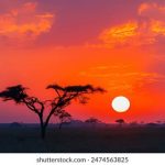 日本AV日韩精品 lroku05icx