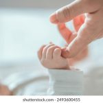 日本在线TV黄 pi1y2w