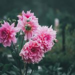 如何顺利完成JKO Army登录步骤与常见问题解答 k51kvb4