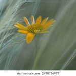 国内打扑克:畅享棋牌乐趣,提升技巧与策略的最佳选择 x5erkyst